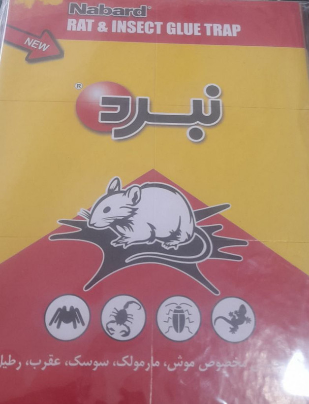 چسب موش نبرد