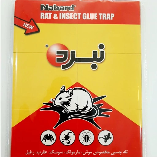 چسب موش نبرد