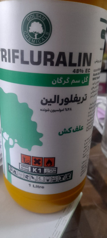 عنوان: علف کش تریفورالین ۴۸ درصد گل سم گرگان (بسته بندی طلایی یک لیتری)
