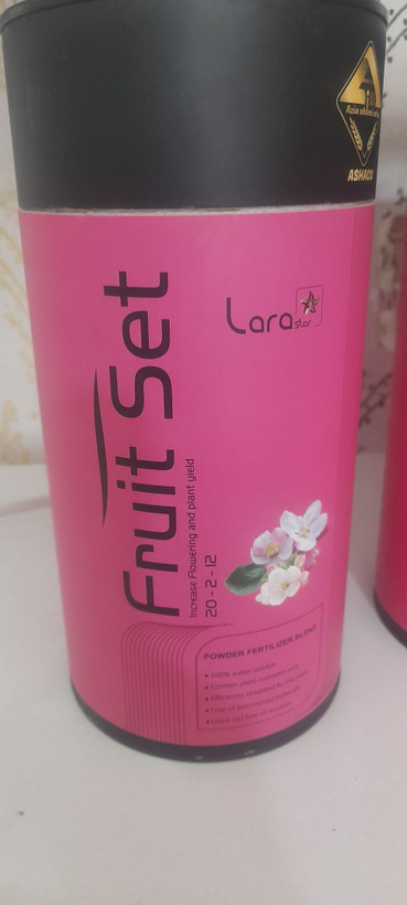 فروت ست لارا پودی یک کیلوگرم